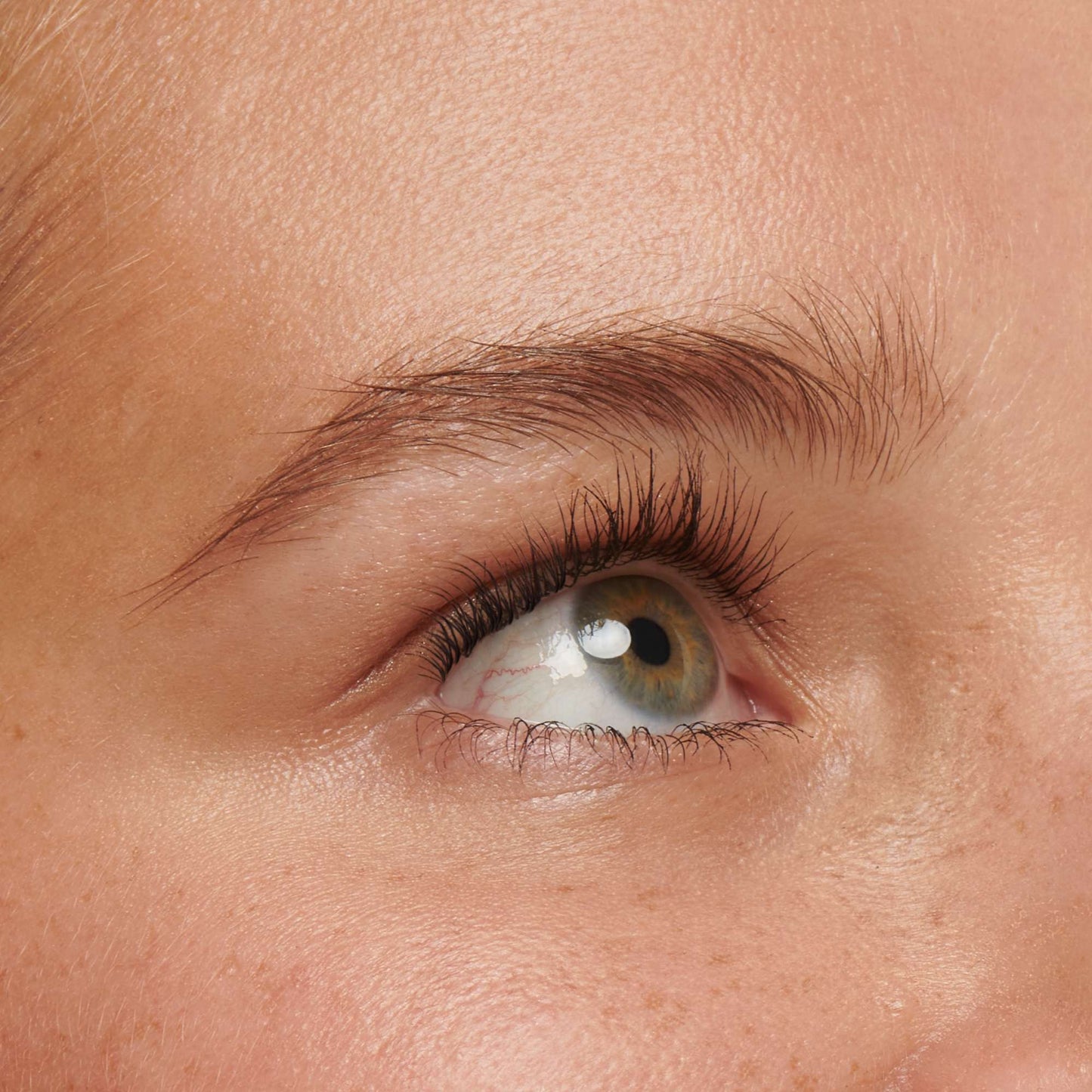 Lash2Brow - Brow gel: Latte